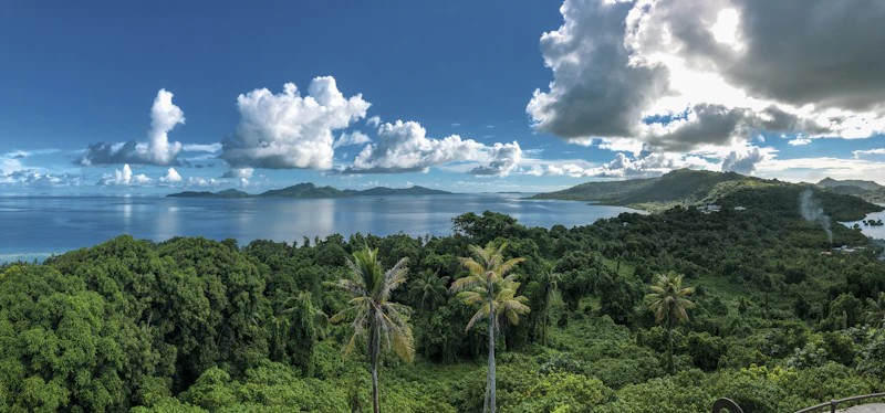 bougainville merdeka 2030 tetangga baru ri analisis