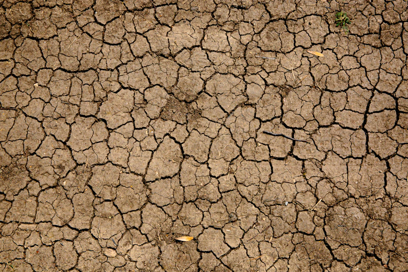 el nino mengancam lagi bayang bayang inflasi di pundak rakyat 2026