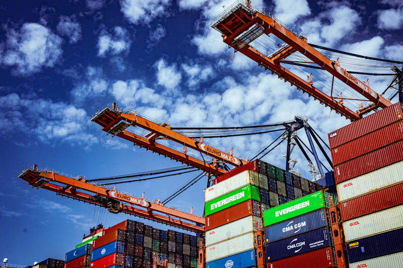 harga cpo meroket siapa untung siapa buntung lagi