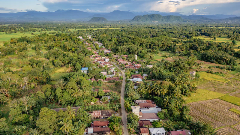 ikn tabur garam karhutla analisis sisi wacana