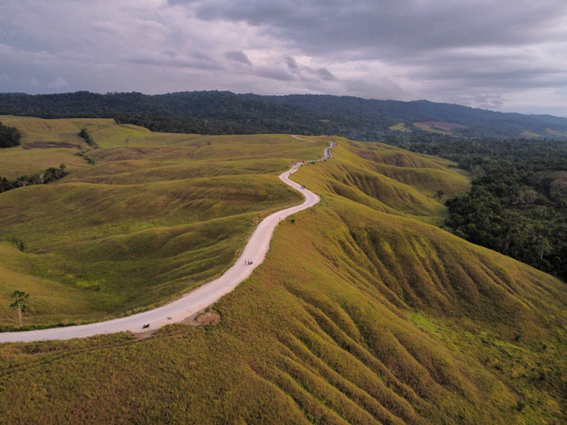 jalan trans papua infrastruktur untuk rakyat atau elit analisis sisi wacana