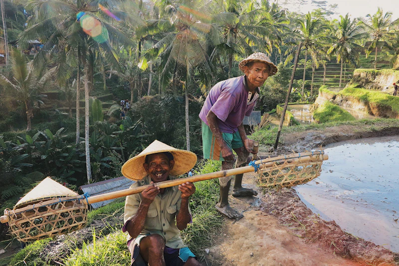 listrik flores normal analisis kritis layanan pln