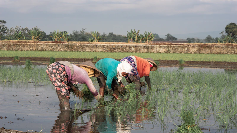 mentan komnas perempuan ketahanan pangan perempuan petani