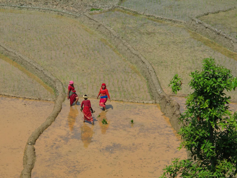 nepal banjir lagi tata kelola bencana korupsi siswawacana