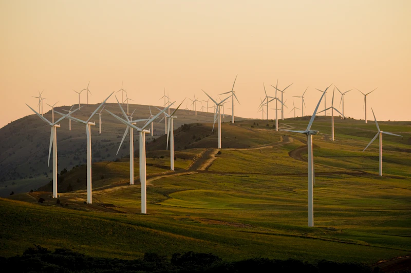 plts 100 gw asa hijau atau ladang oligarki baru
