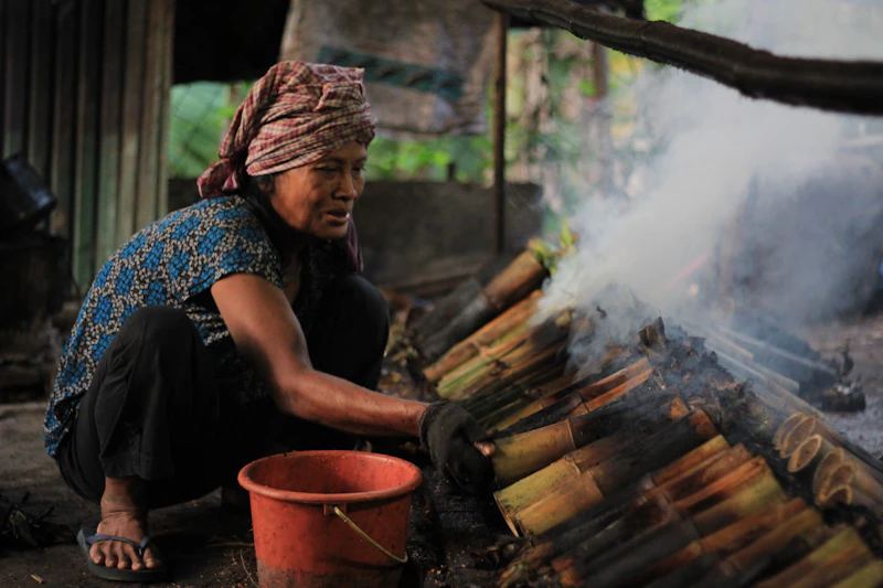 waspada efek buruk anjloknya produksi minyak kayu putih ri