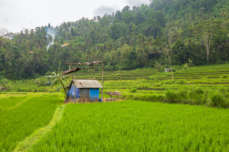 biodiesel b50 kemandirian energi atau pesta oligarki 2026
