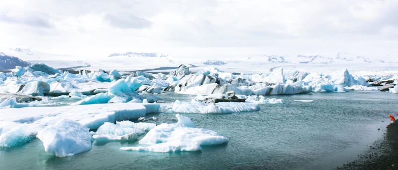 greenland dari lelucon trump kini eropa berpesta dana