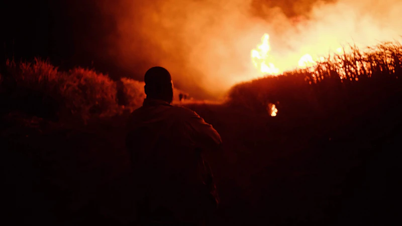 api di ladang petani siapa untung panen terbakar