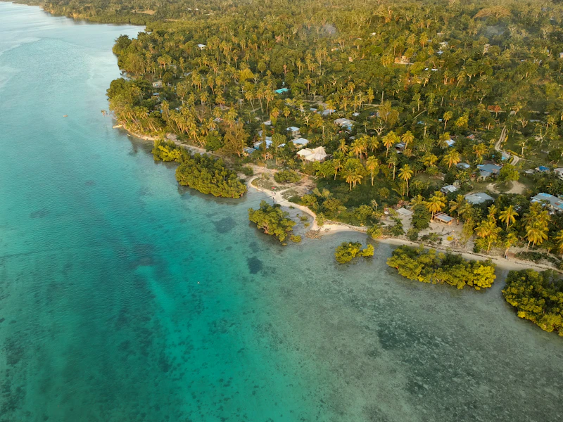 gempa vanuatu m7 alarm cincin api refleksi kesiapsiagaan global