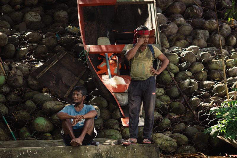 ironi agraris ri banjir impor kelapa mentah ada apa