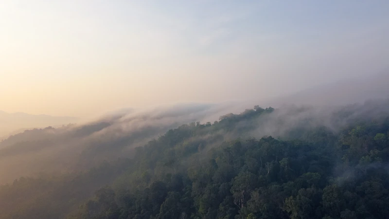 jebakan asap mengapa karhutla tak kunjung jadi bencana nasional