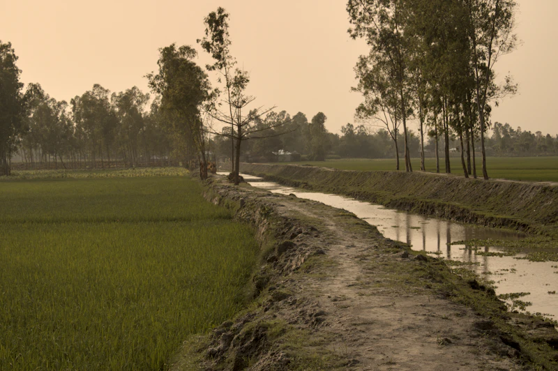 mengurai benang kusut irigasi panduan menuju petani sejahtera
