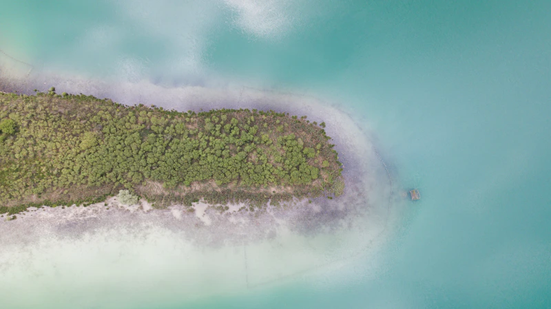 misteri pulau berhutan hilang muncul kembali analisis siswa
