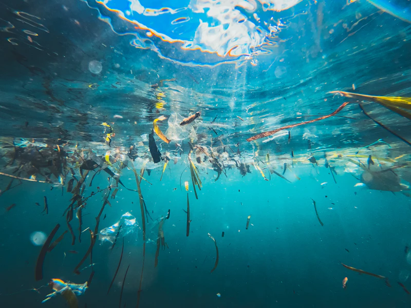 pulau obi konservasi atau korporasi nikel